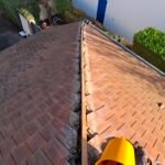 1000031497 - Copie (2)