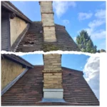 incollage_20251017_185725080-high